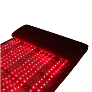 RD Bed 1000 Pro
